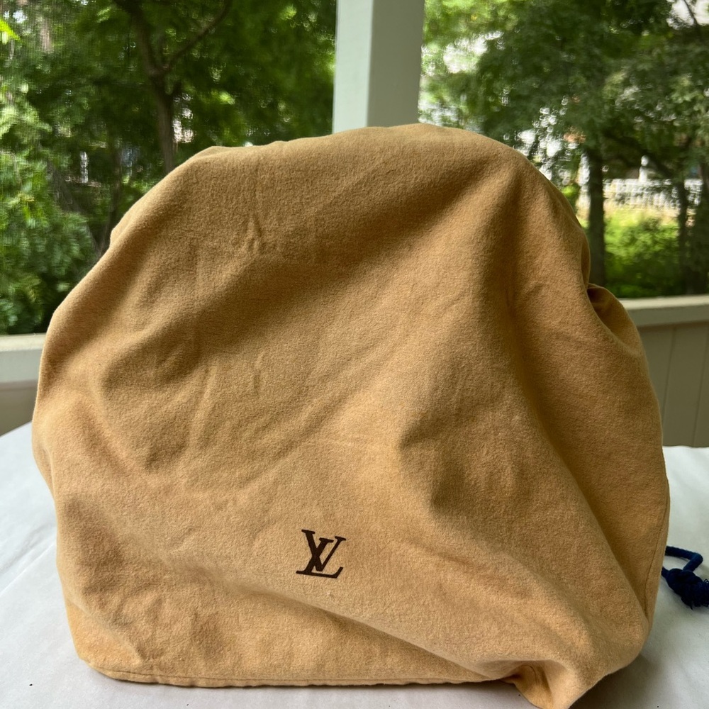 Louis Vuitton Danube MM Crossbody - Picture 13 of 15